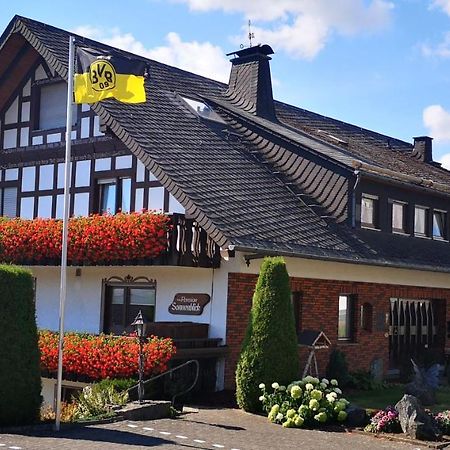 Pension Sonnenblick Winterberg Eksteriør billede